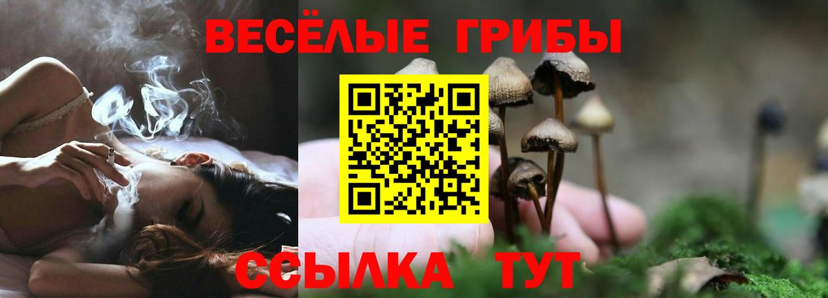 Владивосток  Галлюциногенные грибы Psilocybine cubensis  Вход с VPN 