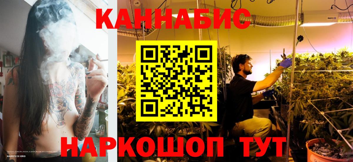 Марихуана план  Шишки марихуана LSD WEED  Вход с VPN  Владивосток  Бошки марихуана White Widow  Шишки марихуана Ganja 